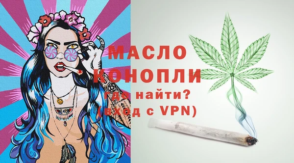 индика Нея