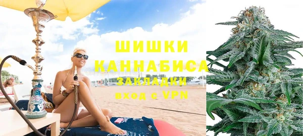 индика Нея